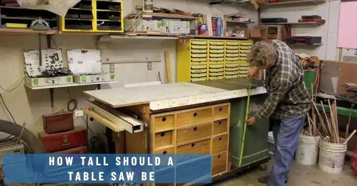 how tall should a table saw be