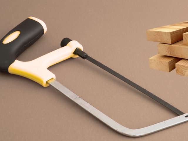 Can a Hacksaw Cut Wood? Things You Need to Know First